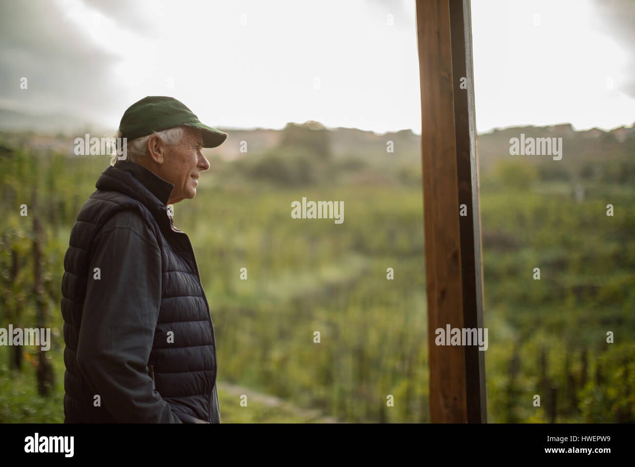 Senior woman Blick auf Weinkulturlandschaft Stockfoto