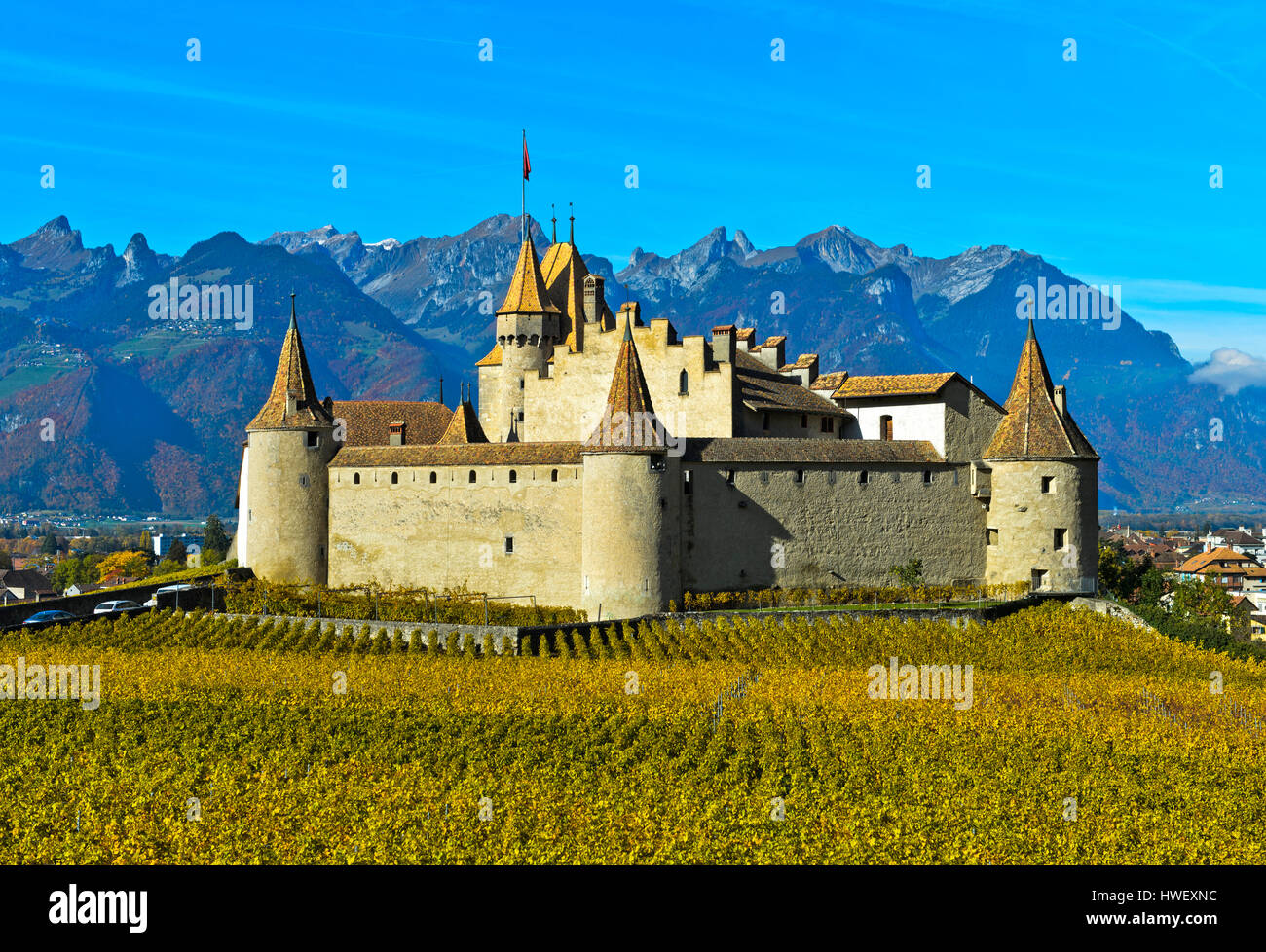 mel Effektivitet Rettelse Rebe und Wein Museum Schloss Aigle, Chateau d ' Aigle, Aigle, Waadt,  Schweiz Stockfotografie - Alamy
