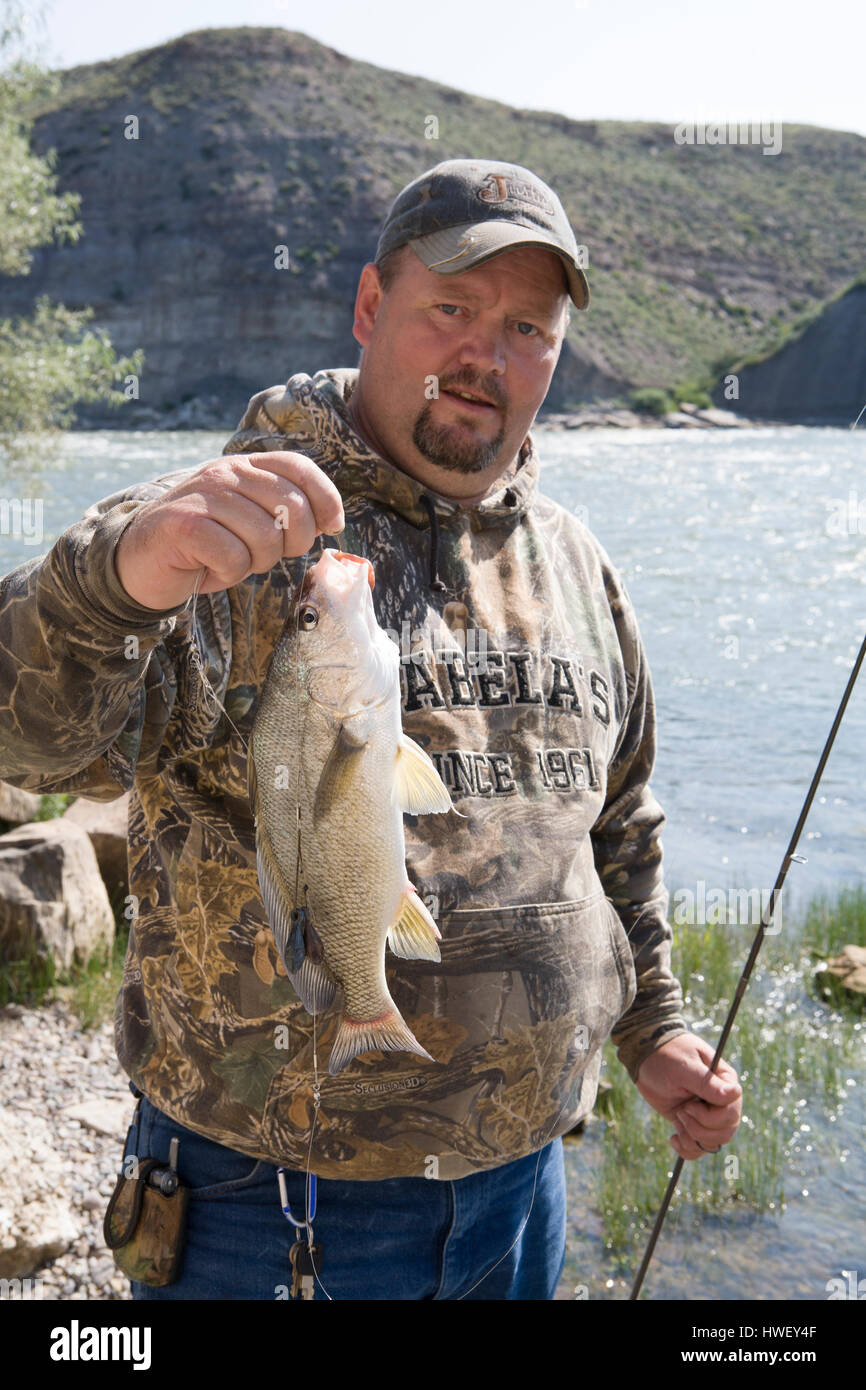Fischer mit einer Frischwassertrommel (Aplodinotus grunniens) fing er auf einem Lauch, Missouri River, MT. (MR) Stockfoto