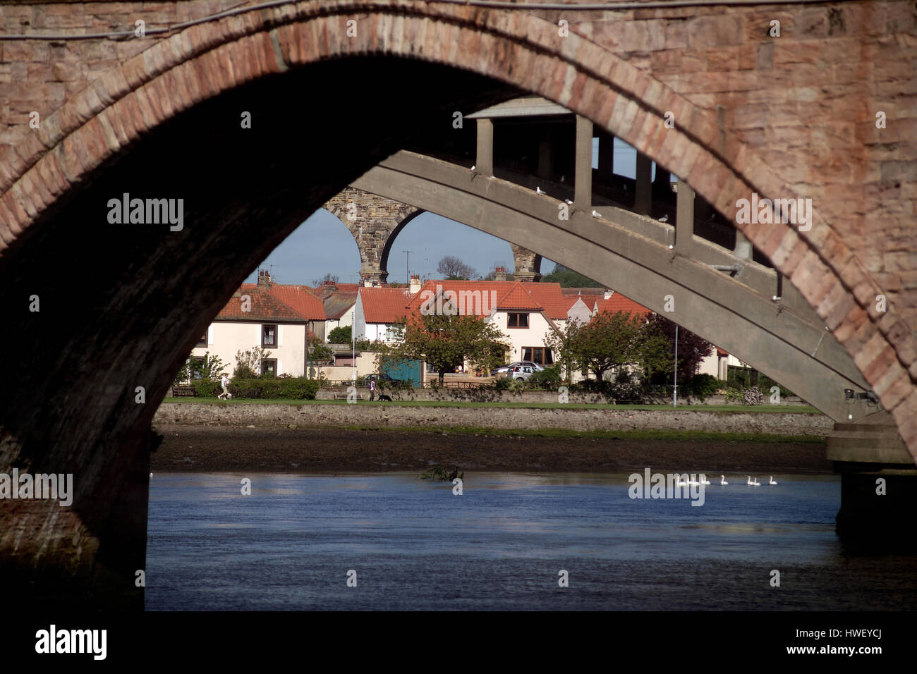Brücken über den Tweed, Berwick-upon-Tweed, Northumberland Stockfoto