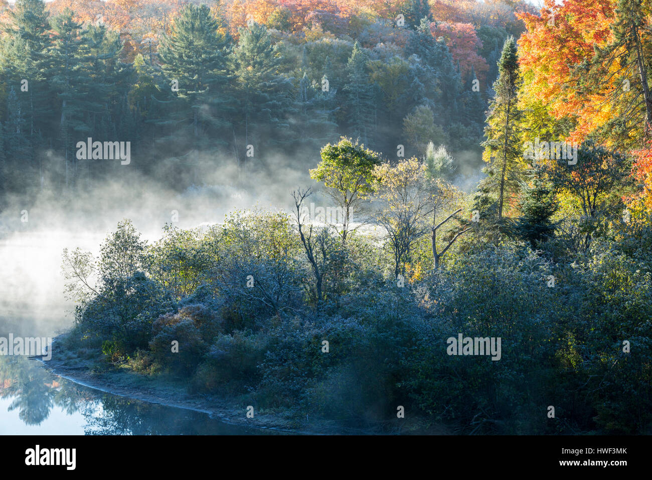 Morgennebel entlang Habichtsbitterkraut River, Ontario, Kanada Stockfoto
