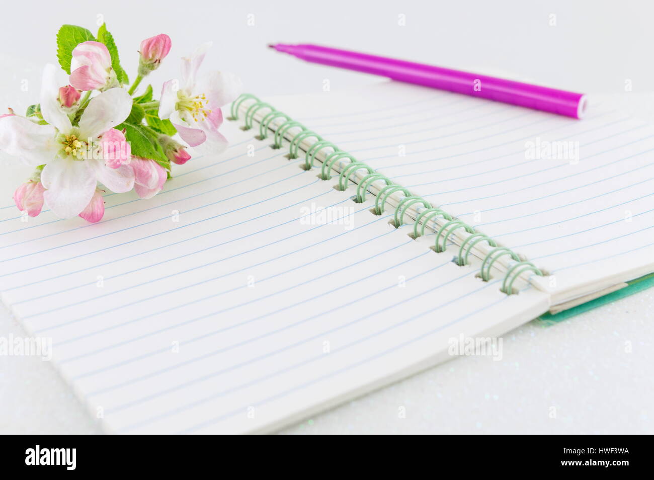 Offenen Notebook mit Apfel Baum Blüte Blumen Stockfoto Offenen Notebook mit Apfel Baum Blüte Blumen Stockfoto