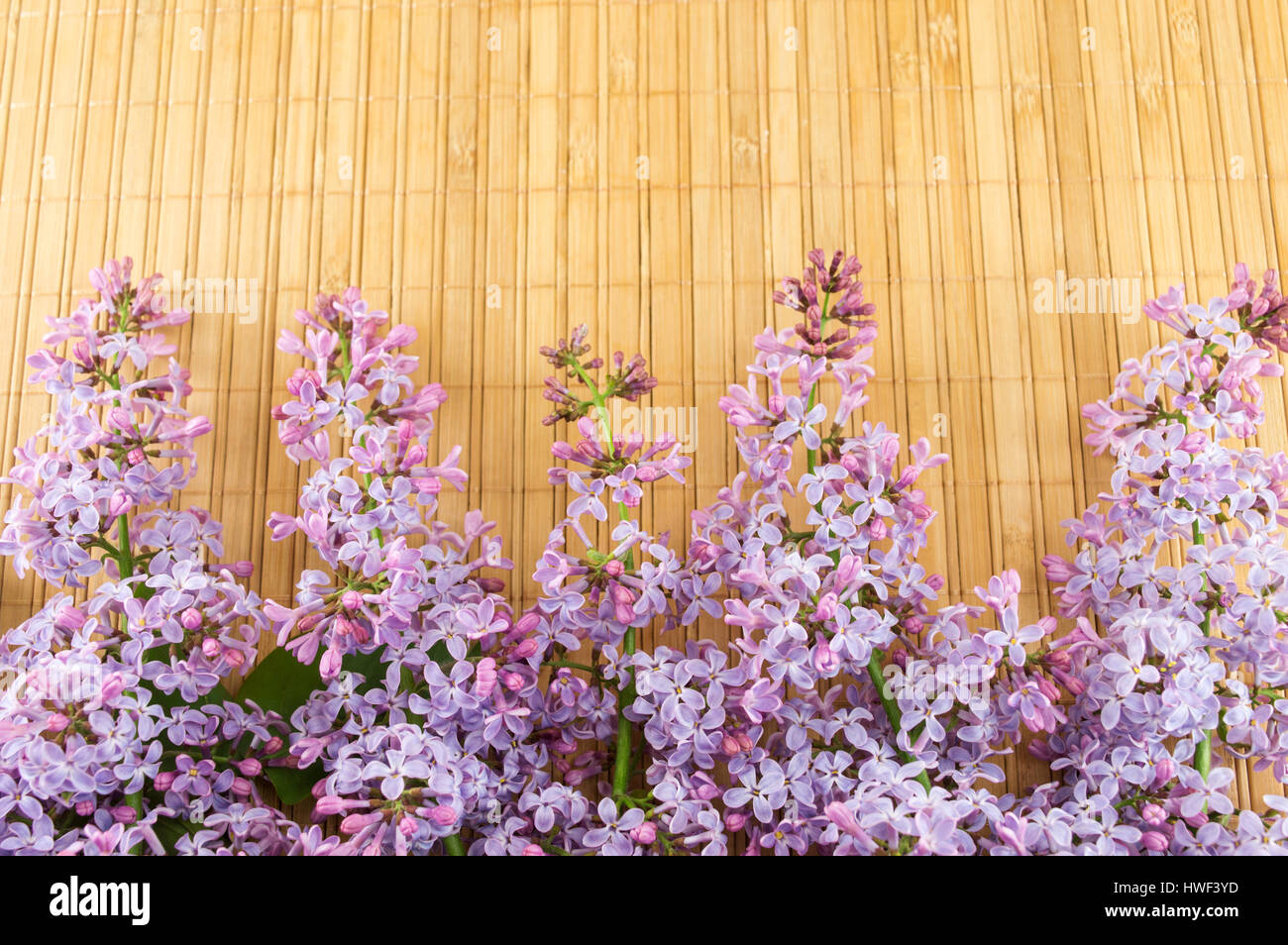 Lila Blüten auf einem geflochtenen Tisch. Frühlingszeit Stockfoto