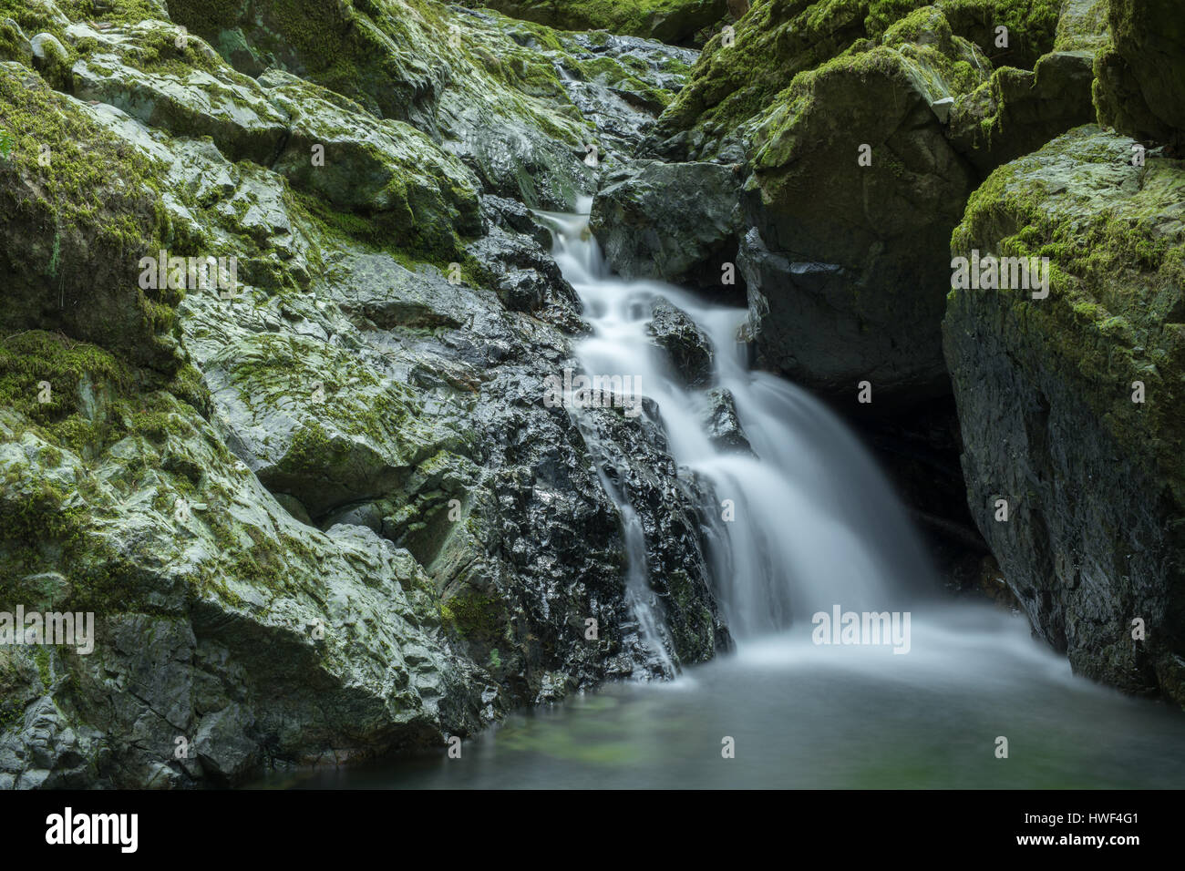 Fließendes Wasser in Katarakt fällt Stockfoto