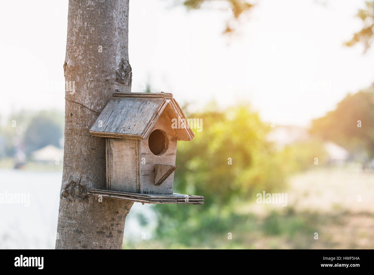 Kleines Haus der Vögel mit Kreis Tür Holz Baum hängen. Warmes, helles Licht von unscharfen Hintergrund. Stockfoto
