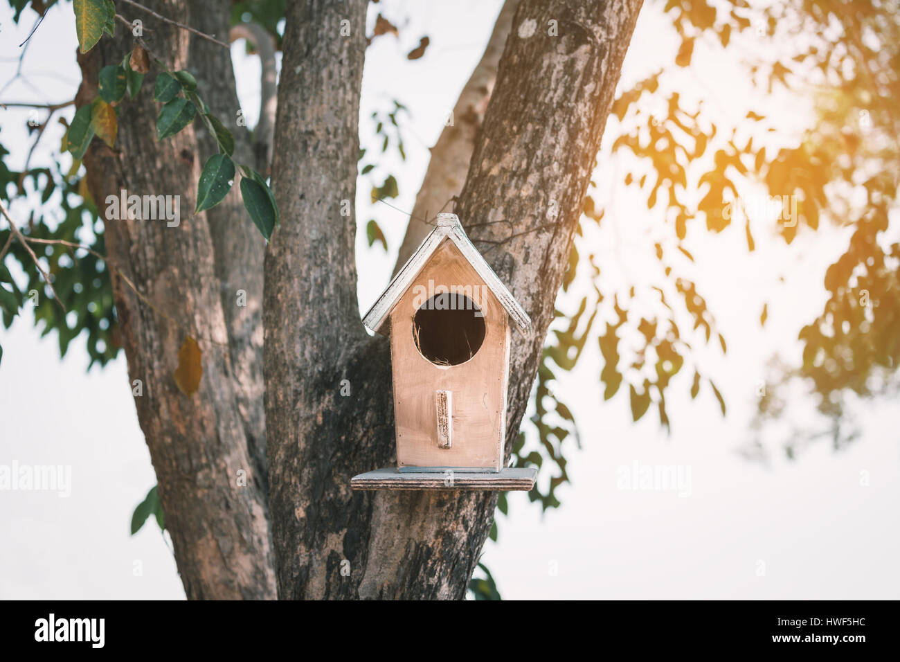 Kleines Haus der Vögel mit Kreis Tür Holz Baum hängen. Warmes, helles Licht von unscharfen Hintergrund. Stockfoto