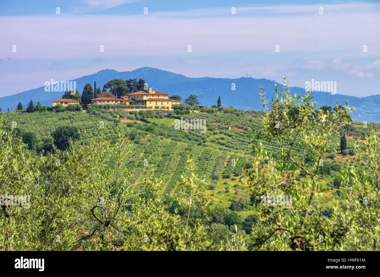 Chianti-Landschaft Mit Olivenhainen - Chianti-Landschaft mit Olivenhainen Stockfoto