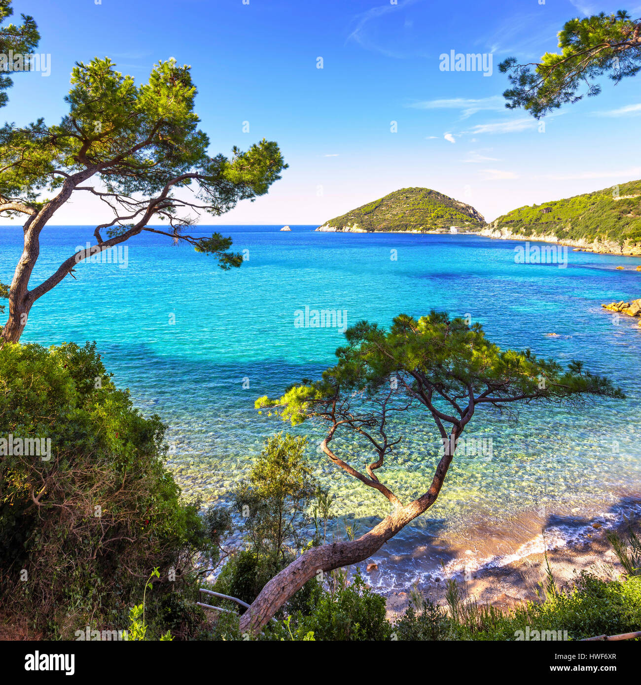 Elba Insel Meer, Portoferraio Viticcio Strandküste und mediterranen Pinien Toskana, Italien, Europa. Stockfoto