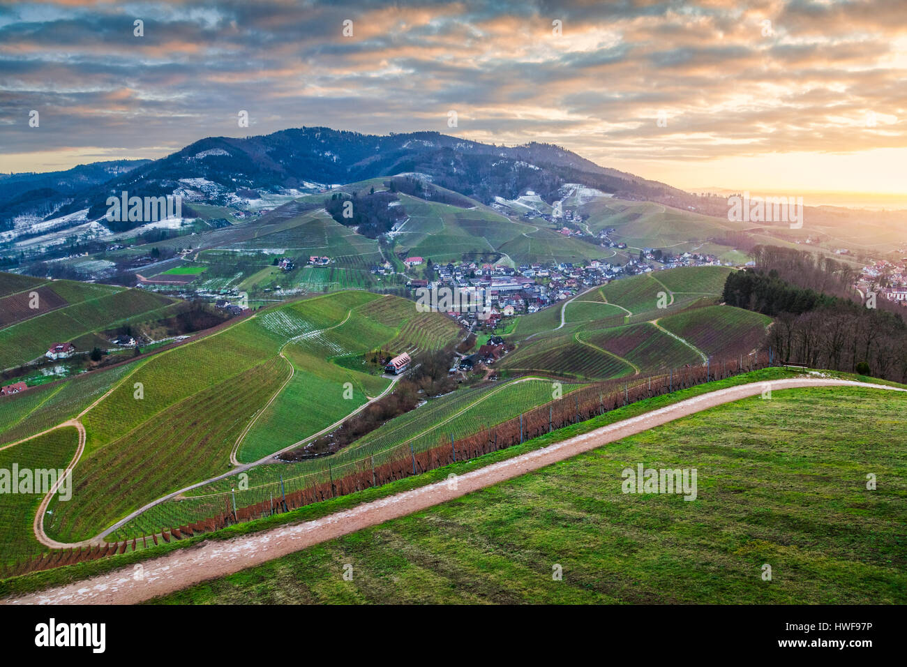 Panorama Blick bei Sonnenuntergang von Weinbergen und Dorf Durbach, Ortenau, Baden-Württemberg, Deutschland Stockfoto