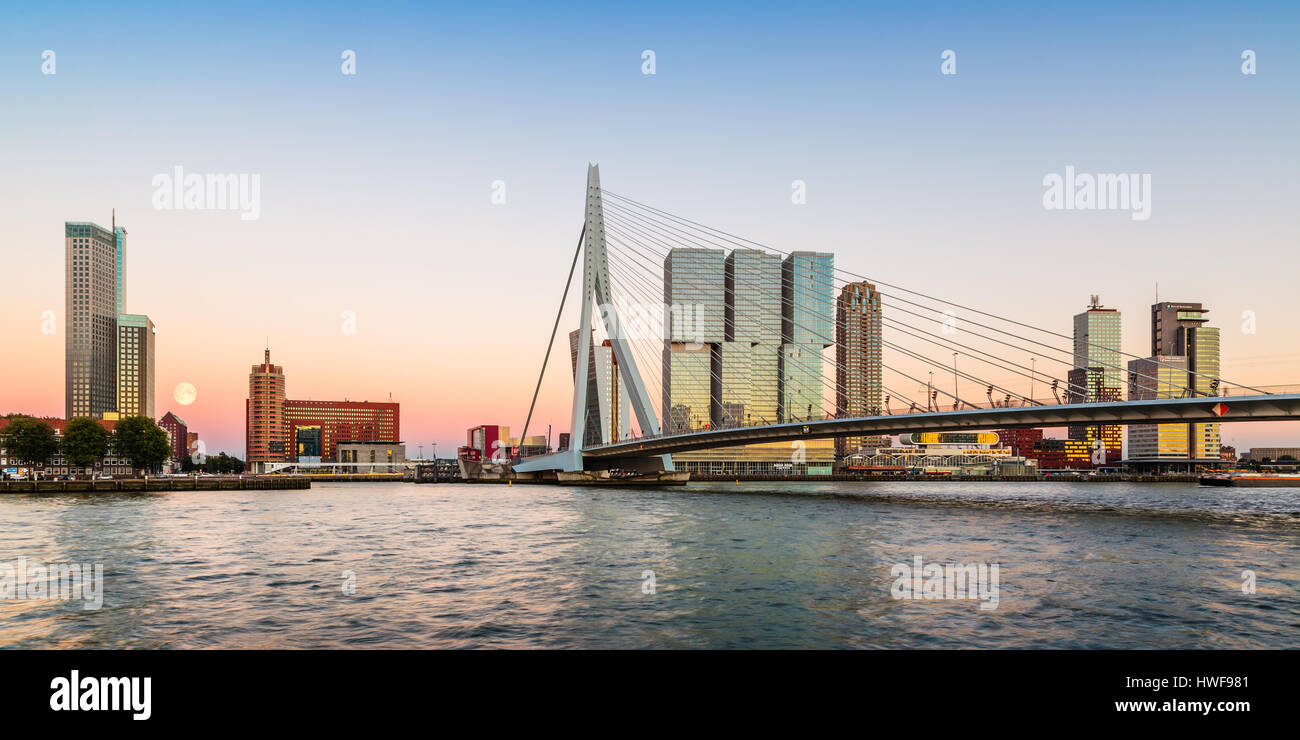 Erasmus-Brücke, Rotterdam, Niederlande Stockfoto