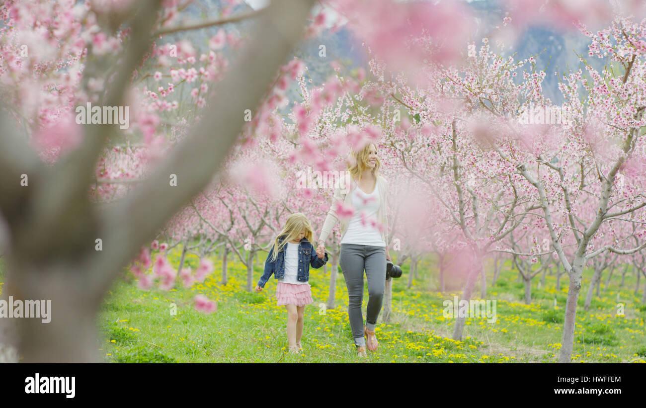 Selektiven Fokus Blick lächelnder Mutter und Tochter zu Fuß im Park Bereich mit blühenden Bäumen Stockfoto