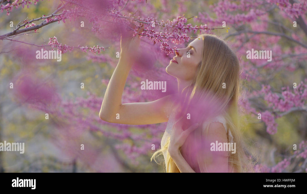 Selektiven Fokusansicht des Profils der Frau riechen blühende Zweige im park Stockfoto