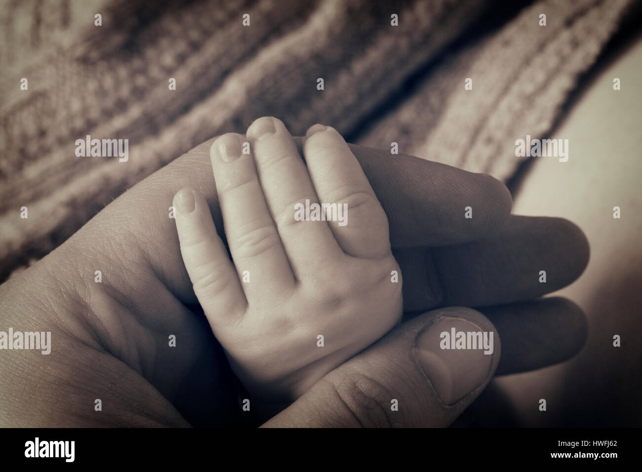 Neugeborenes Baby hand Stockfoto