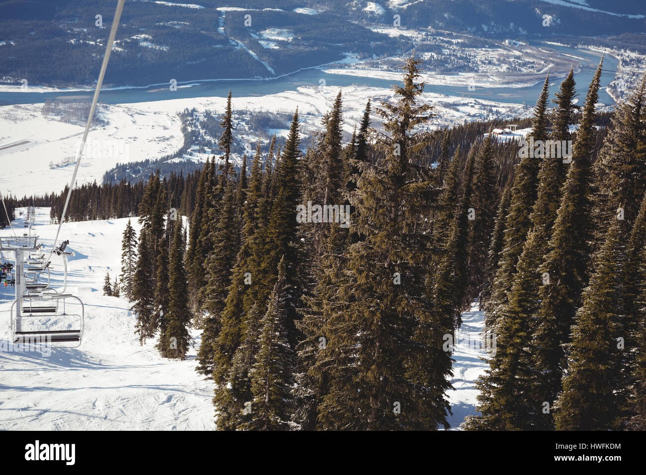 Leere Skilift und Kiefer in das Skigebiet im winter Stockfoto