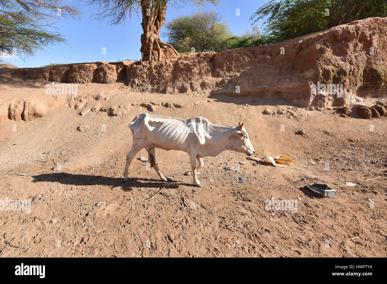 Famine Disaster Stockfotos & Famine Disaster Bilder - Alamy