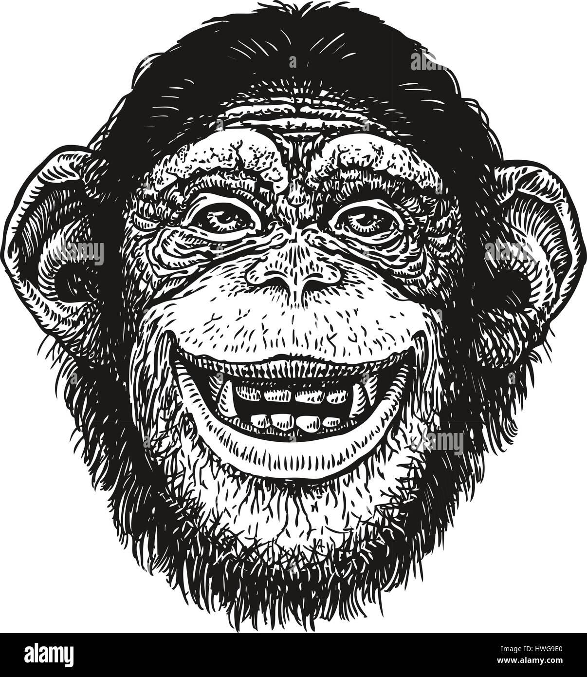Hand gezeichnete Porträt von Schimpansen. Lustige Affen, Neandertaler. Skizze-Vektor-illustration Stock Vektor