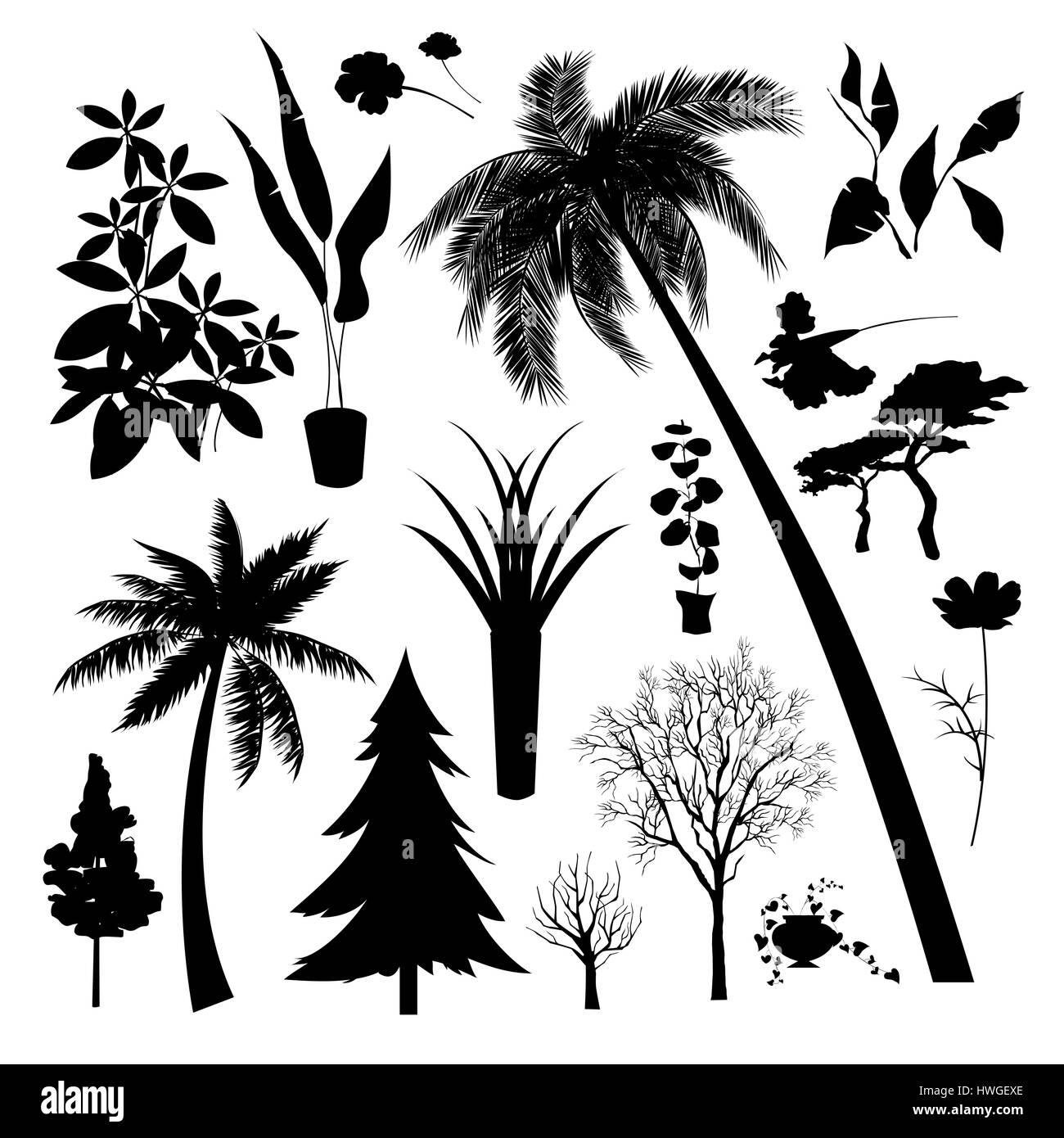 Weißer Hintergrund, Schwarze und Weiße, schwarz, Hintergrund, Kunst, Kunstwerk, Cartoon, cgi, Clip Art, Computer Graphics, kreativ, Digitale Kunst, digitale Technologie, Zeichnen, Illustration, Illustrationen, Phantasie, Fantasie, gemalten Bild, Malerei, Beziehung, Vertretung, Vertreter, Vector, Zeichnung, Quadrat, Sammlung, Element, isoliert, lange, Outline, Set, Form, Silhouette, Porträt, Quadrat, Pflanze, Pflanzen, Blätter, Blatt, Pflanze, Baum, Zweig, Zweige, karge Stockfoto