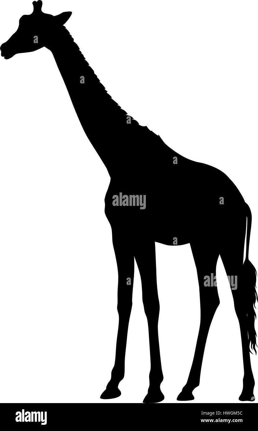 Abstraktes Vektor-Illustration einer Giraffen-Silhouette. Das Heck der Giraffe ist ein separates Element und kann an verschiedenen Standorten verschoben werden Stock Vektor