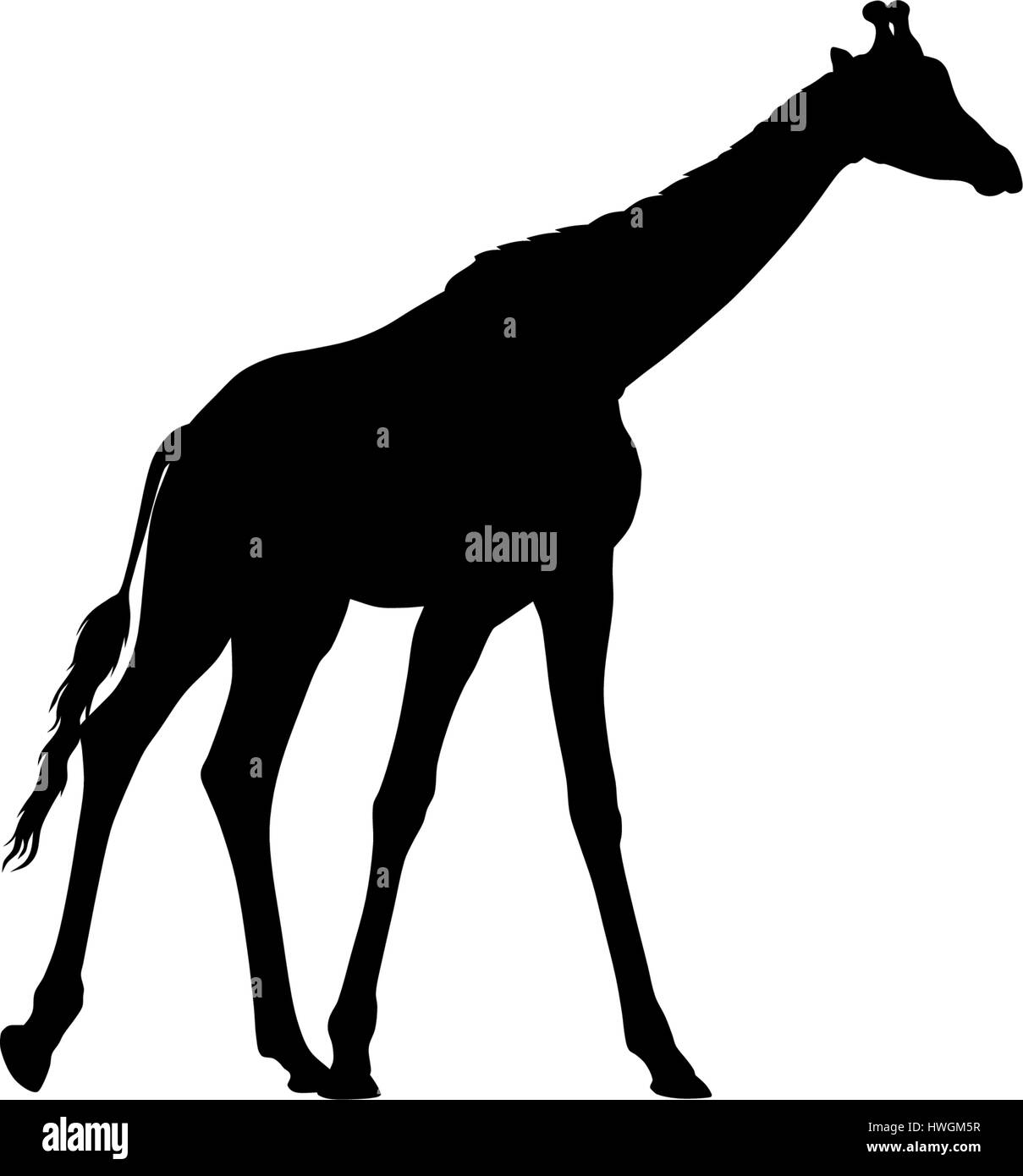 Abstraktes Vektor-Illustration einer Giraffen-Silhouette. Das Heck der Giraffe ist ein separates Element und kann an verschiedenen Standorten verschoben werden Stock Vektor