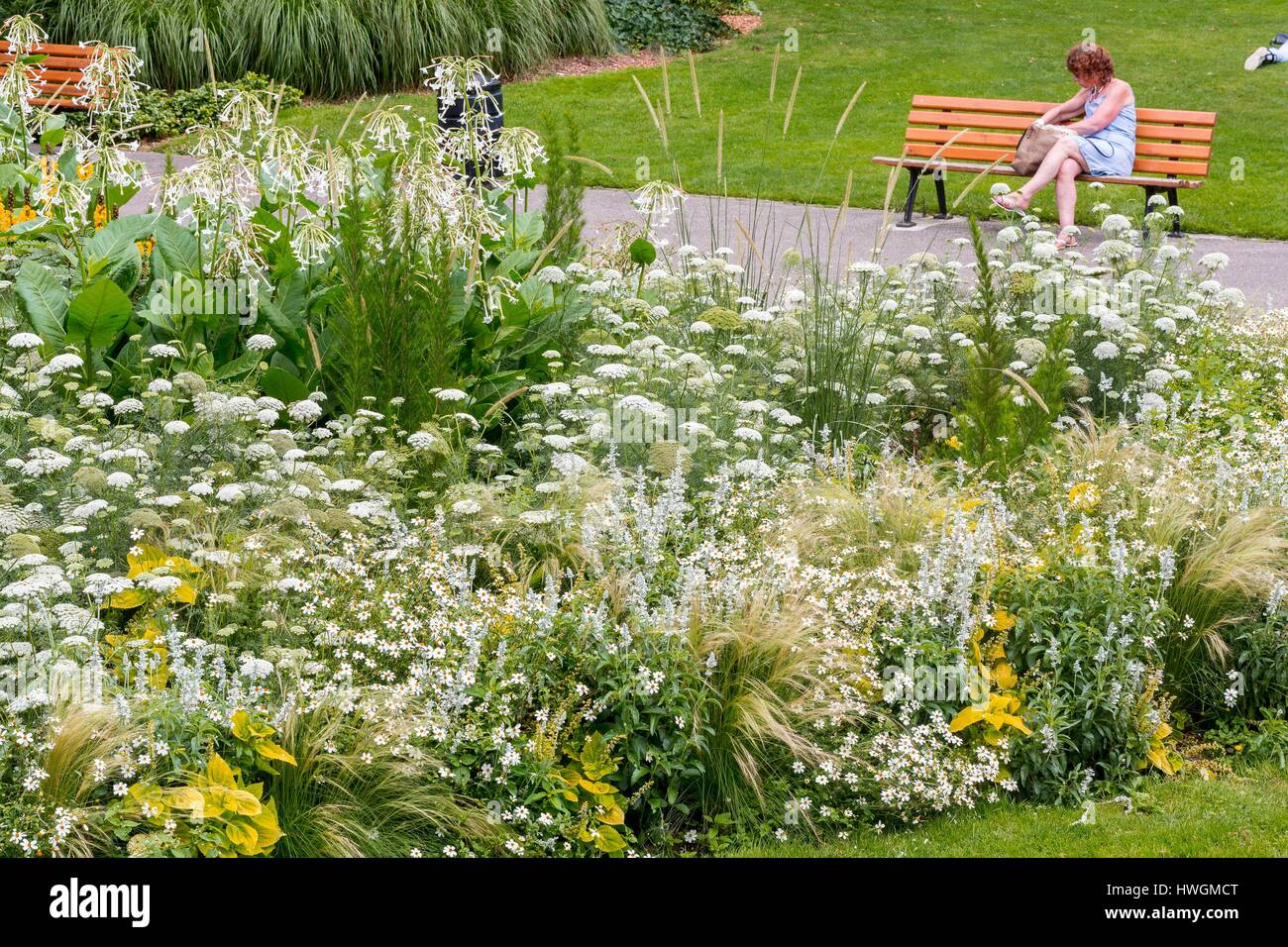Frankreich, Seine Maritime, Le Havre, square Saint-Roch, öffentlichen Park von zwei Hektar im Jahr 1868 eröffnet Stockfoto