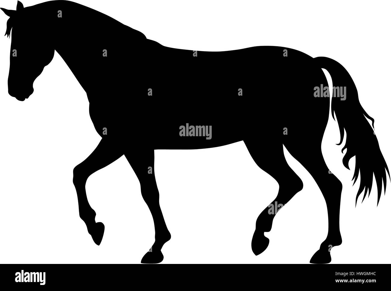 Vektor Illustration Der Laufenden Pferd Silhouette Stock Vektorgrafik Alamy