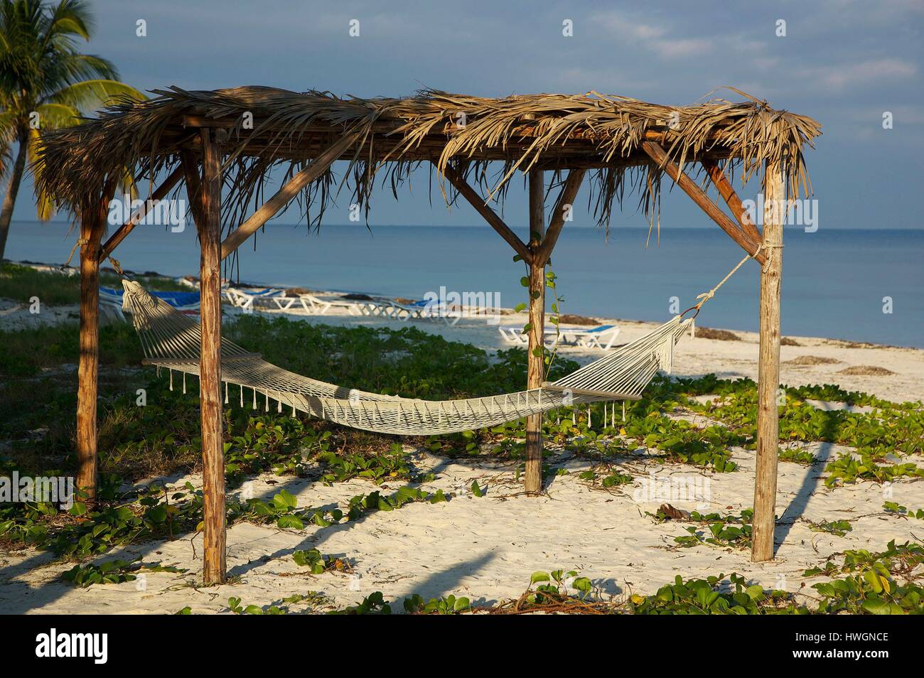 Kuba, Pinar del Rio, Cayo Levisa, Hängematte am Strand des Hotels Cayo Levisa, vor dem Atlantischen Ozean Stockfoto