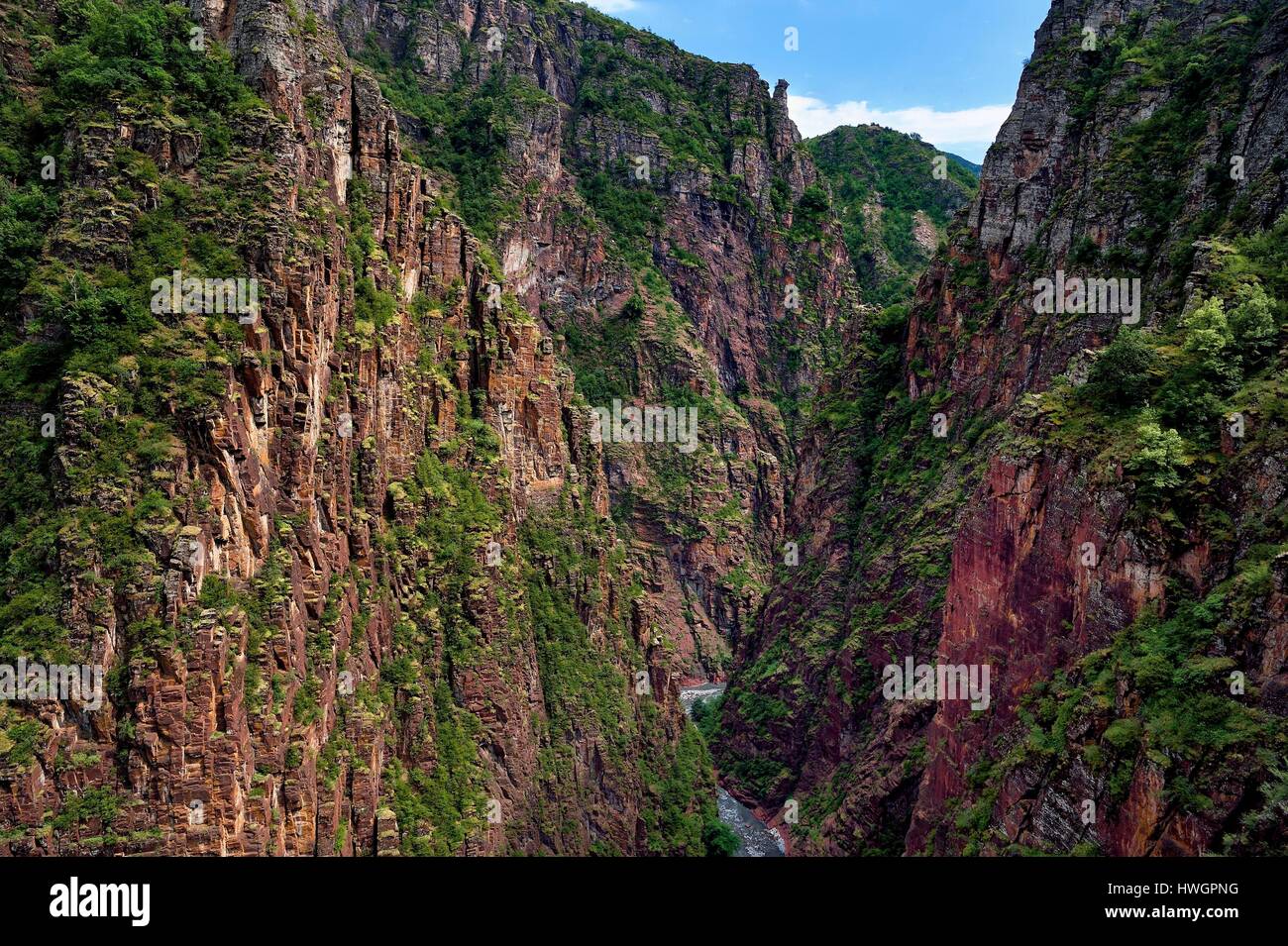Frankreich, Alpes Maritimes, Nationalpark Mercantour, Haut-Var-Tal, Schluchten von Daluis geschnitzt vom Fluss Var im roten Lutite Boden Stockfoto