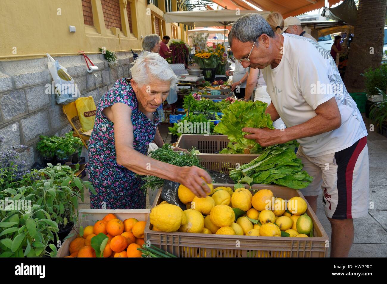 Frankreich, Alpes Maritimes, Menton, städtische Markthalle, Menton Zitronen, der Produzent Julie Barreli verkauft Menton Zitronen Stockfoto