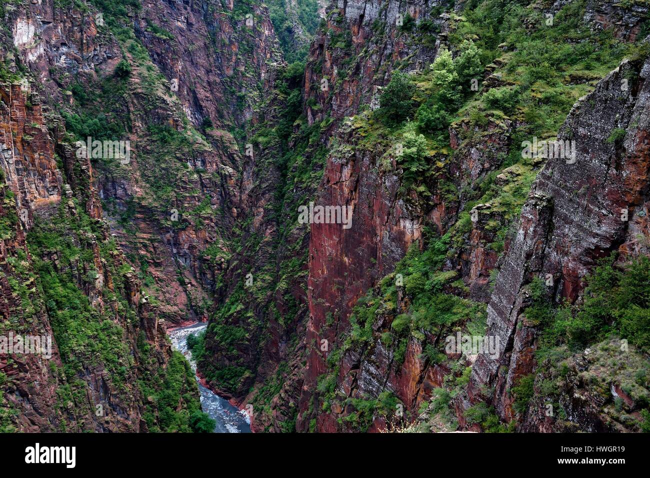 Frankreich, Alpes Maritimes, Nationalpark Mercantour, Haut-Var-Tal, Schluchten von Daluis geschnitzt vom Fluss Var im roten Lutite Boden Stockfoto