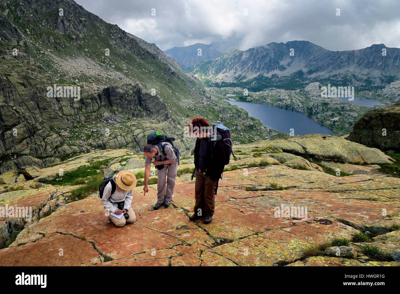 Frankreich, Alpes Maritimes, Parc National Du Mercantour (Nationalpark Mercantour), das Vallée des Merveilles (Tal der Wunder) mit Tausenden von rupestral Gravuren der Bronzezeit verstreut, die chiappes Gelb schiefer Fliesen, Hornlike zahlen Beobachtung in der Firma der Archäologe Nicoletta Bianchi Stockfoto