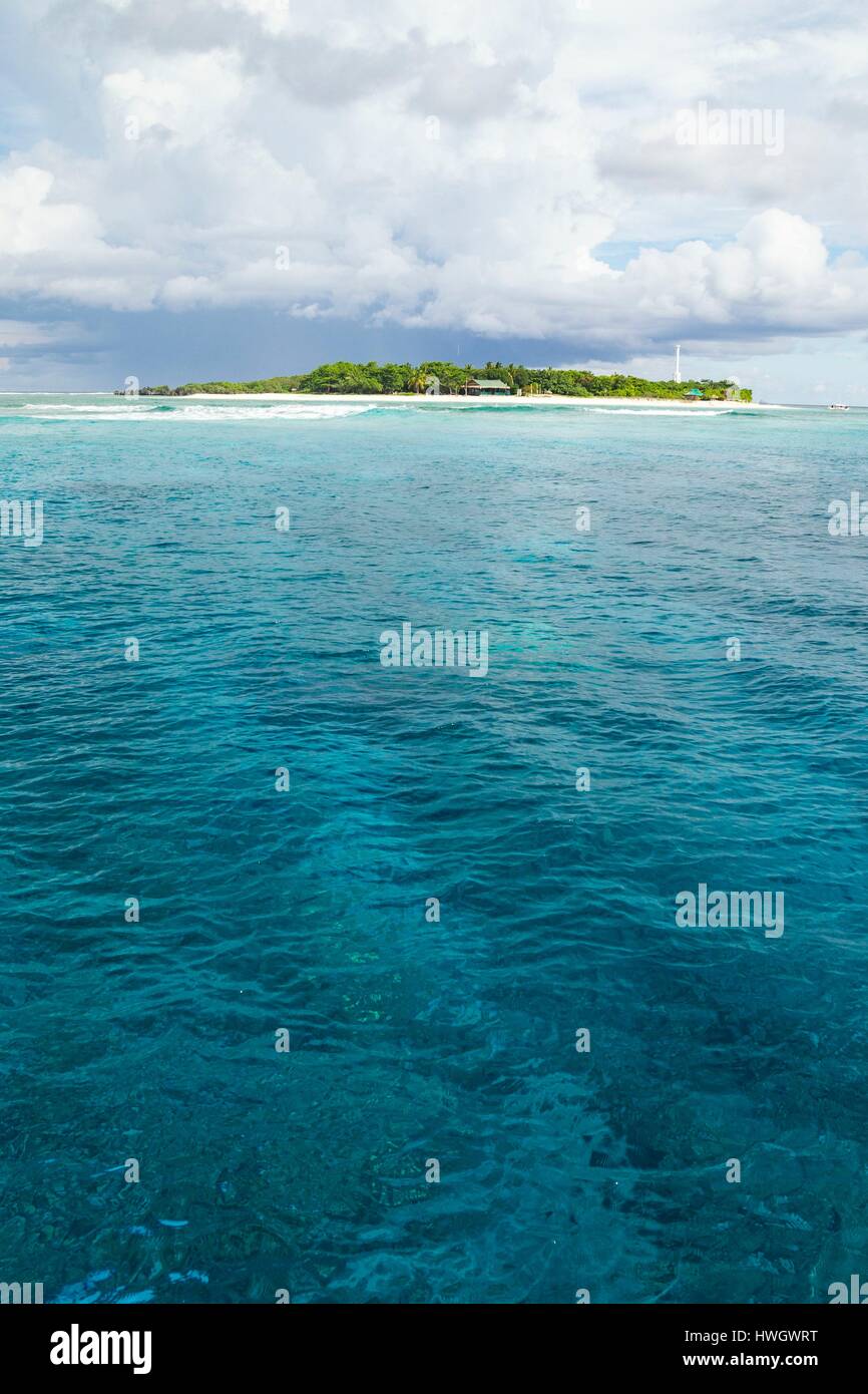 Philippinen, Insel Mindoro, Apo Reef Naturpark, Apo Stockfoto