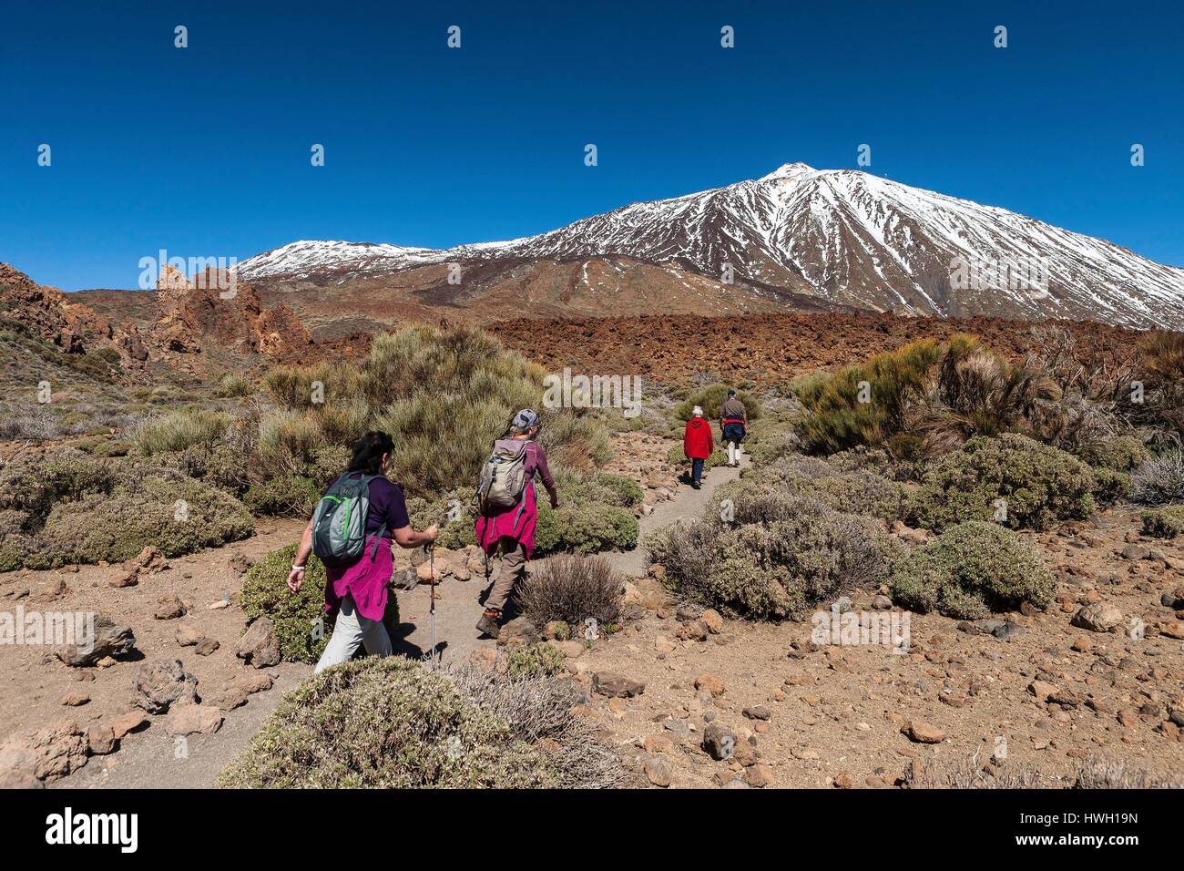 Espagne, Iles Kanaren, Ile de Tenerife, Parc national du Teide, Classé au Patrimoine Mondial de seine, Wanderer vor den Teide Stockfoto