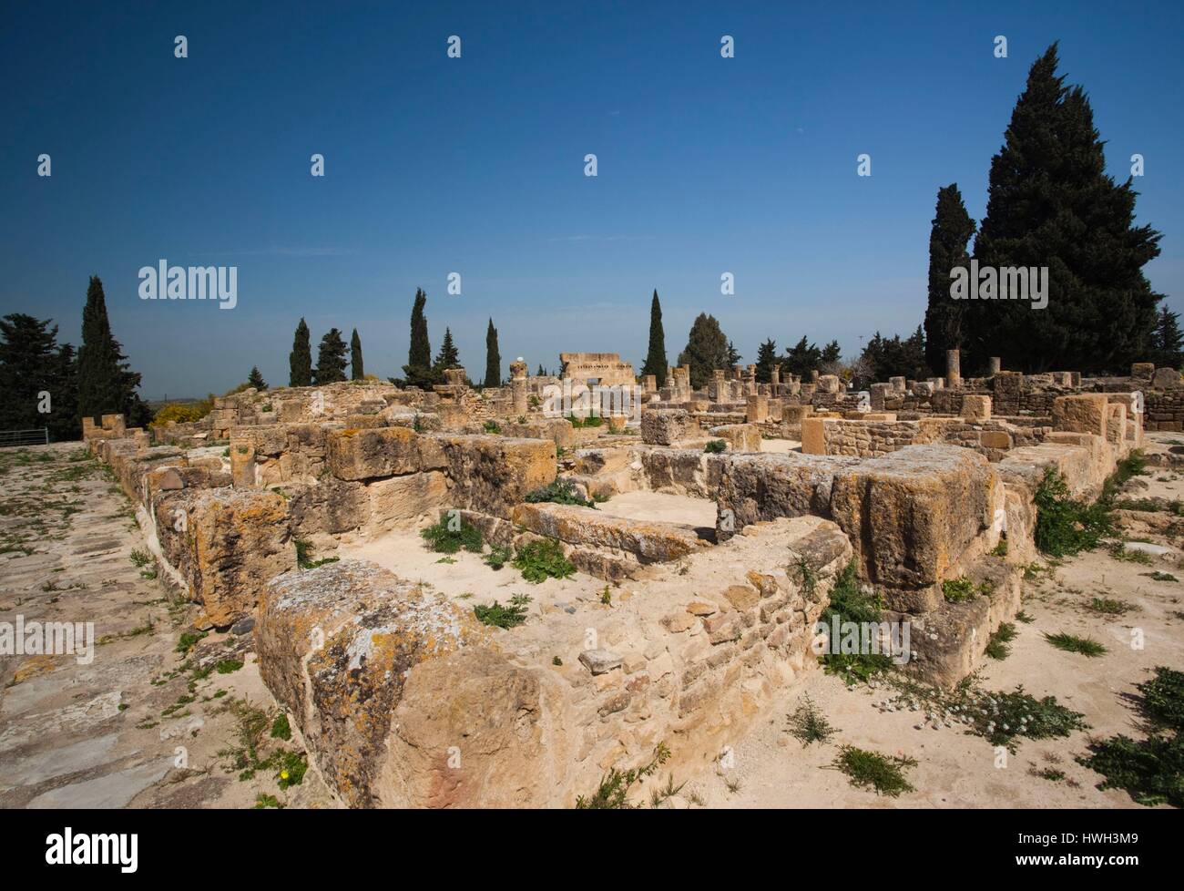 Tunesien, Nord Tunesien, Utica, Site Archeologique d'Utique, Ruinen der Römerzeit Villen Stockfoto