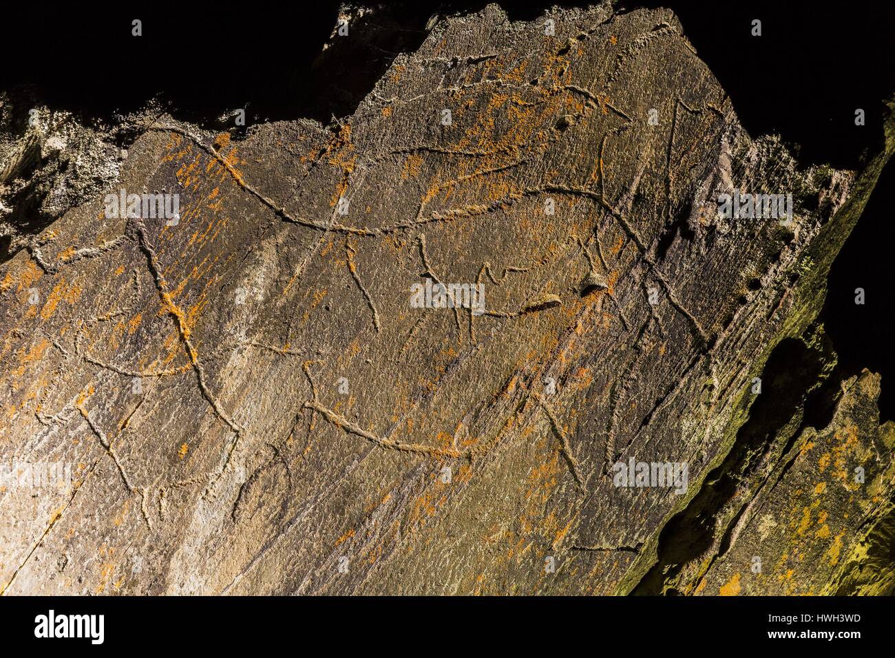 Portugal, Northern Region, Bezirk von Guarda, Douro, Douro Tal, Vila Nova de Foz Coa, Nacht besuchen Sie die Führungen der archäologischen Park des Coa Valley, als Weltkulturerbe von der UNESCO, rupestral Gravuren der Jungpaläolithikum Stockfoto