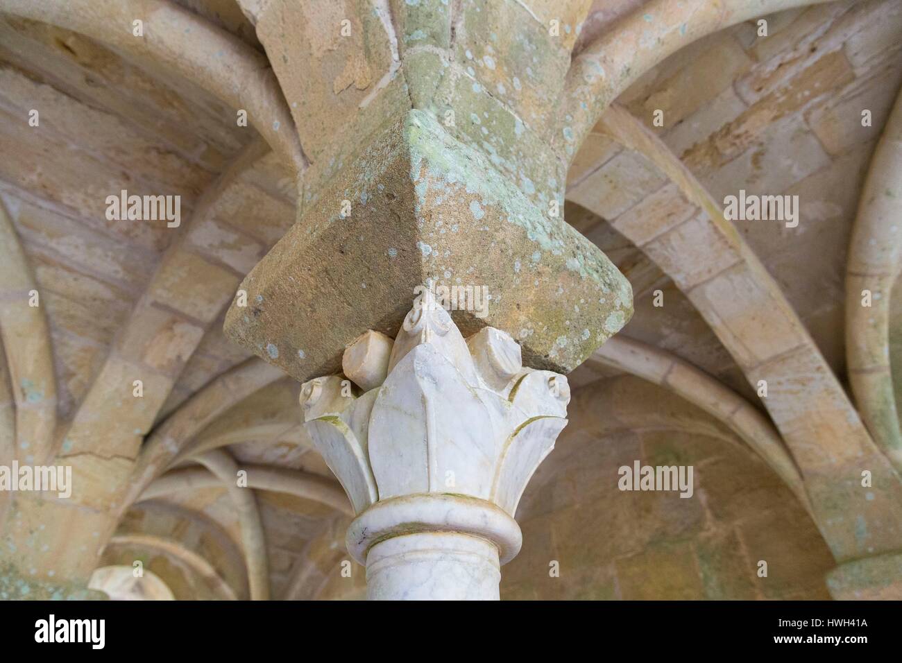 Frankreich, Narbonne, Aude, Le Pays Cathare (Land der Katharer) Kreuzgang in Sainte Marie de Fontfroide Abteikirche, Detail einer Hauptstadt in den Kapitelsaal Stockfoto