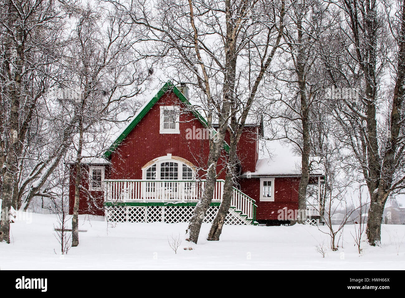 Haus in der Schneefall, Norwegen, Troms, Troms?, Getting, Jahreszeiten, Winter, Schnee, Haus, Baum, Norwegen, Jahreszeiten, Winter, Schnee, Haus, Pflanzen, Baum, Haus Stockfoto