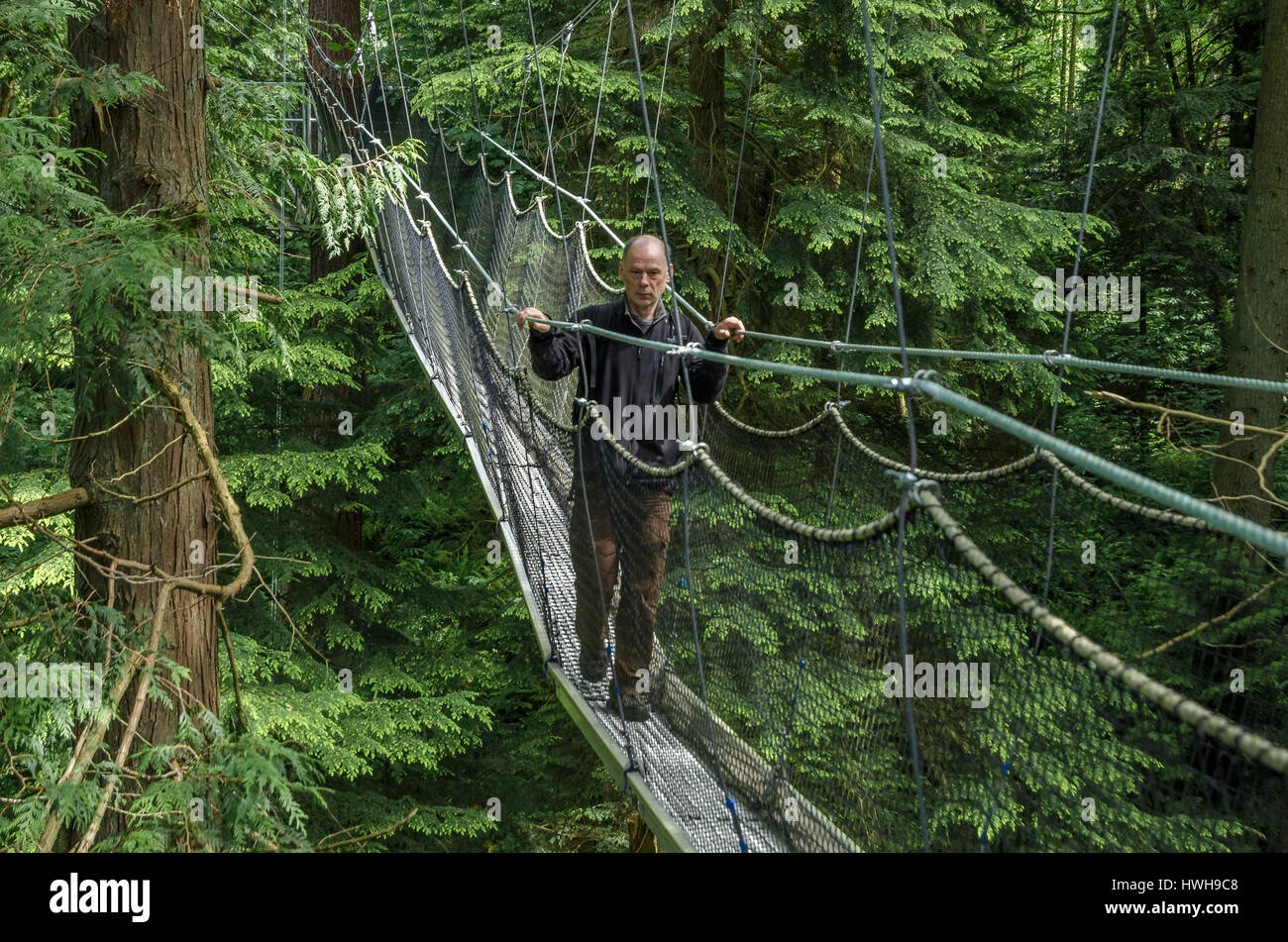 Mann auf die Greenheart Canopy Walkway, UBC Botanischer Garten, Vancouver, British Columbia, Kanada Stockfoto