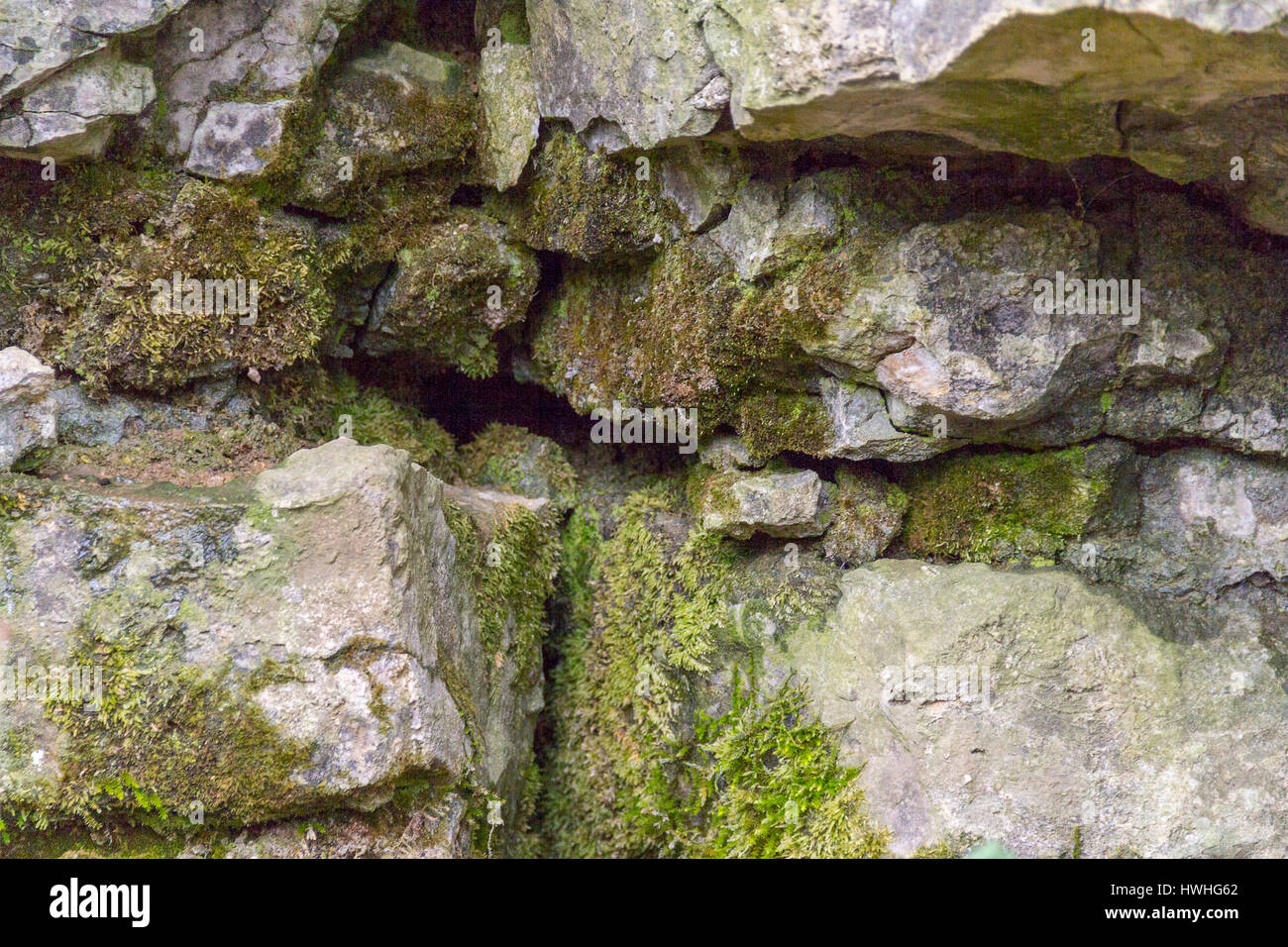 natürliche Outdoor-Fotografie einer moosigen geschichteten Felsformation Stockfoto