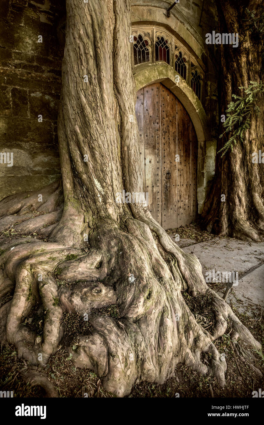 Eiben, die Tür in das Nordportal der Pfarrkirche St. Edwards in Stow auf flankieren die Gloucestershire - Inspiration für Tolkiens Moria Tür würde? Stockfoto