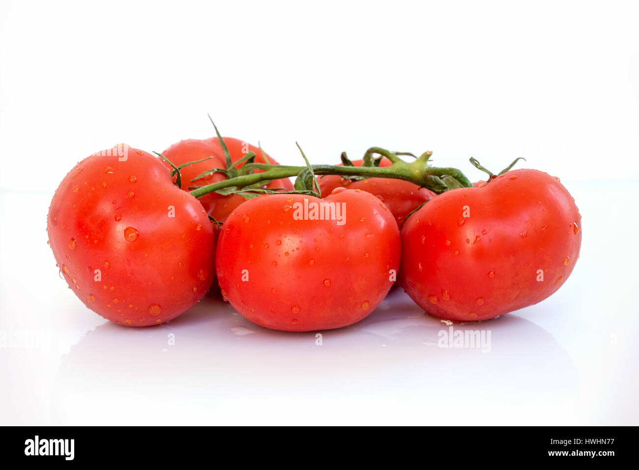 Frischen Zweig der Tomaten mit Wassertropfen auf weißem Hintergrund Stockfoto