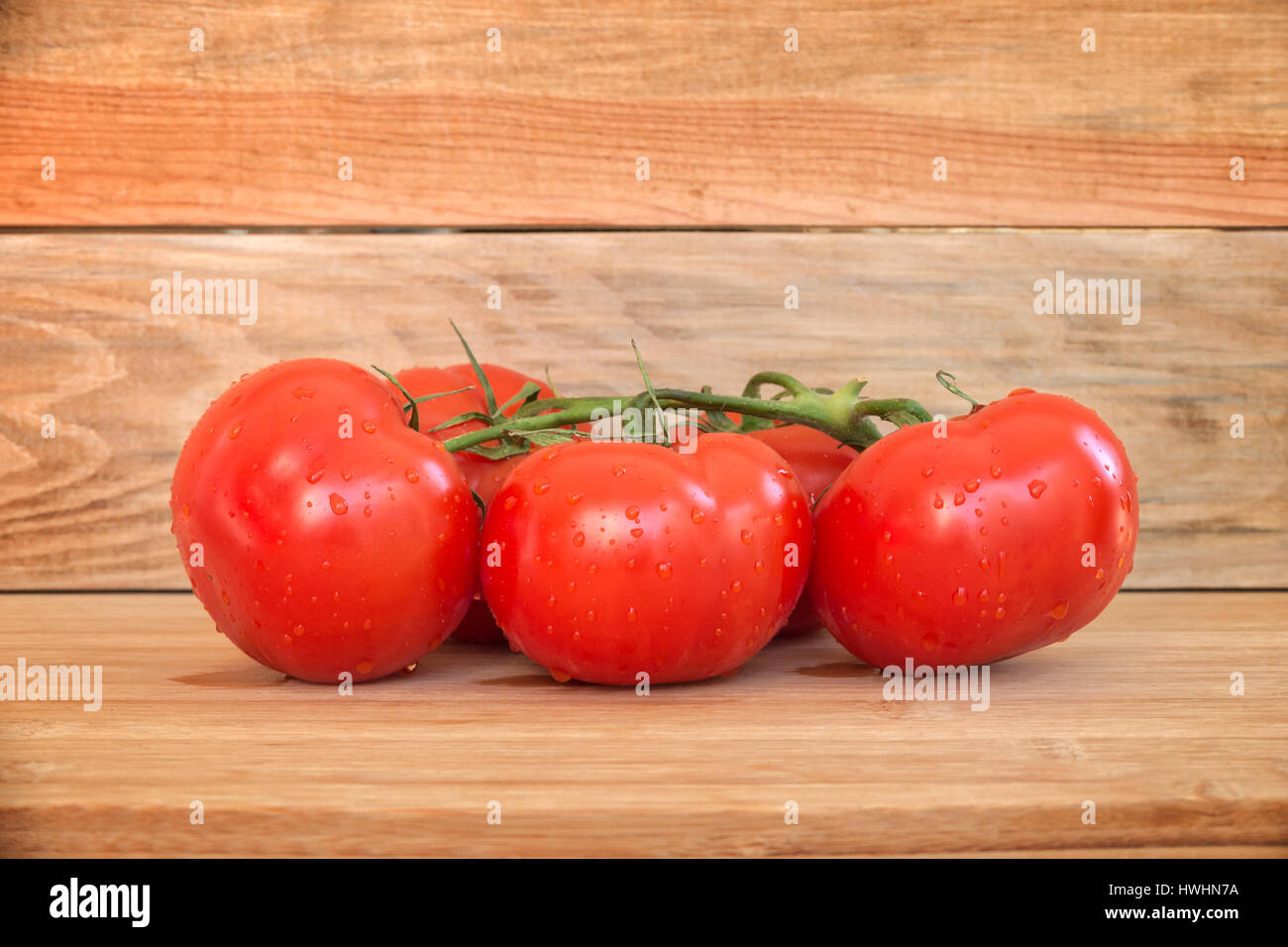 Zweig der Tomaten mit Wassertropfen auf Holzbohlen Hintergrund Stockfoto