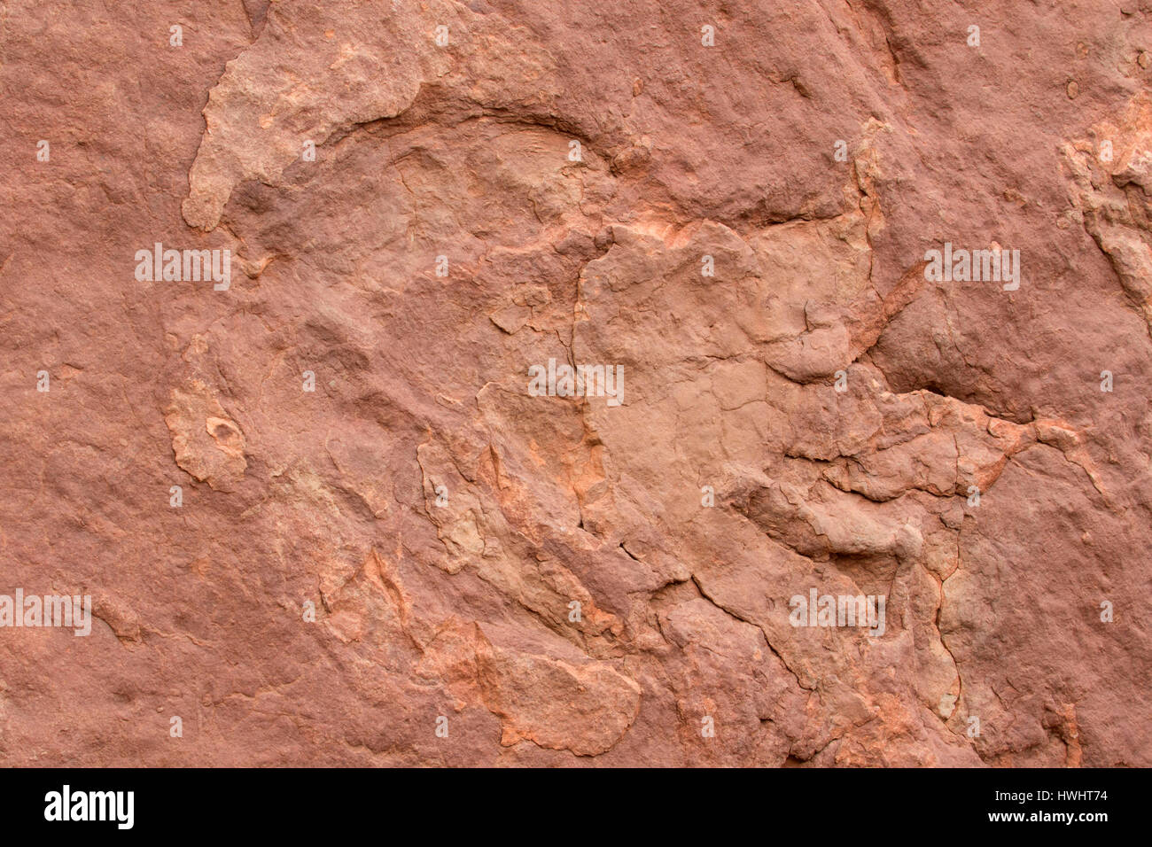 Dinosaur Tracks, Kali-unteren Colorado River Scenic Byway, Grand County, Utah Stockfoto