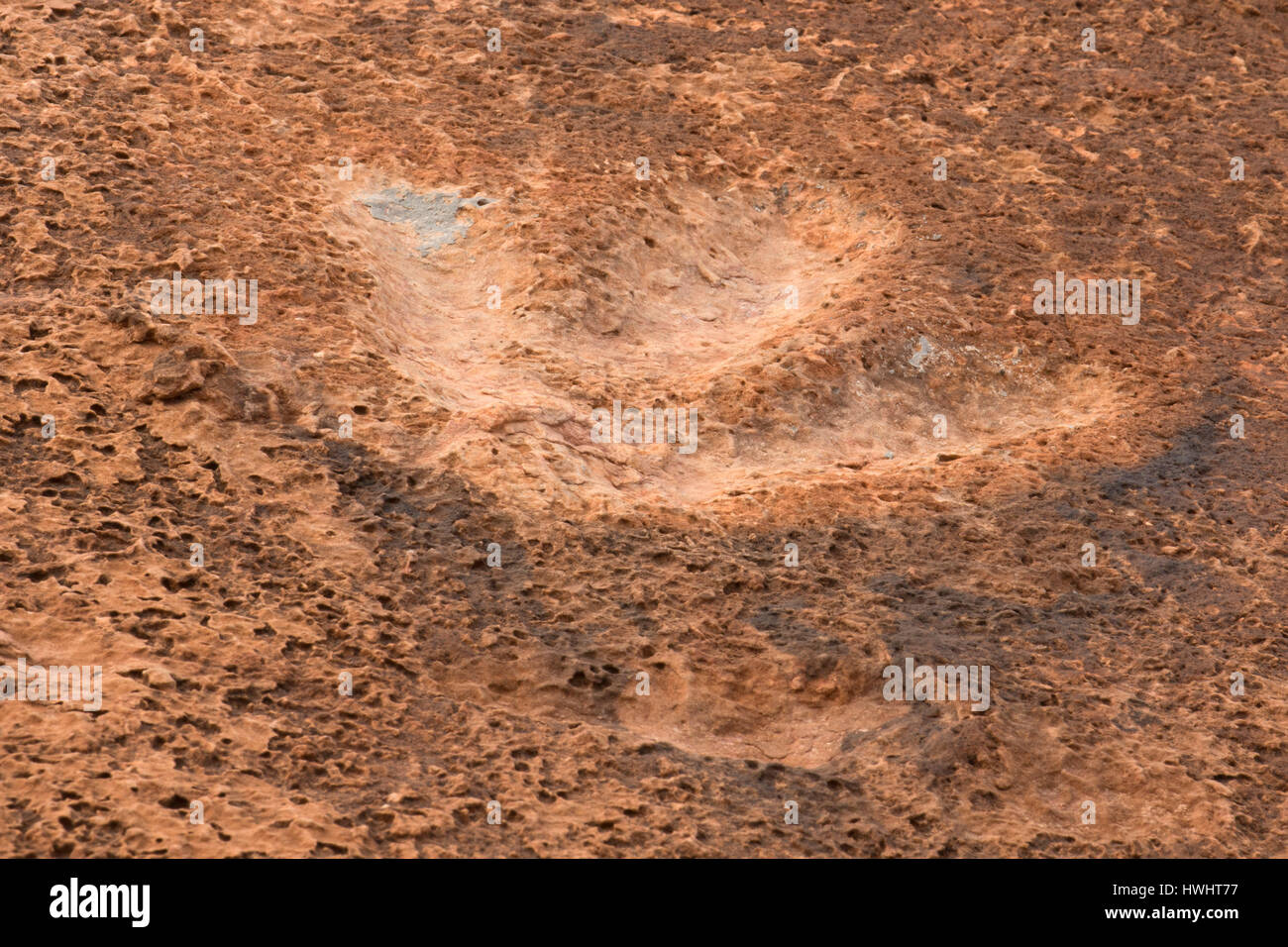 Dinosaur Tracks, Kali-unteren Colorado River Scenic Byway, Grand County, Utah Stockfoto