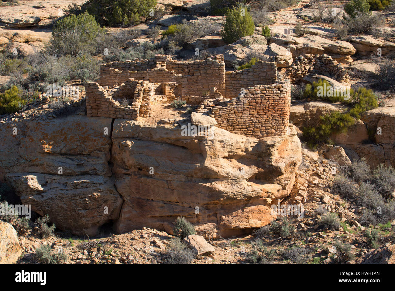 Gerät Typ Haus, Hovenweep National Monument in Utah Stockfoto