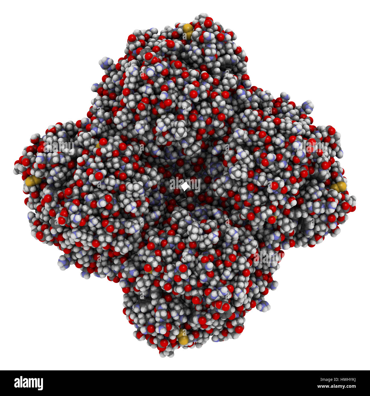 Neuraminidase-Enzym. Struktur der H5N1-Vogelgrippe-Neuraminidase. Atome werden als Kugeln mit konventionellen Farbkodierung dargestellt. Stockfoto