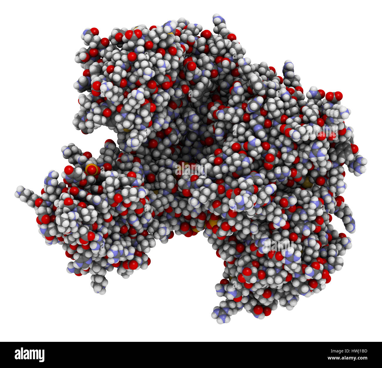 Argonaut-2 (Mensch) Enzym. Teil des komplexen RISC und spielt Rolle bei der RNA-Interferenz (RNAi). 3D Illustration. Atome als Kugeln mit freigemessen gezeigt Stockfoto