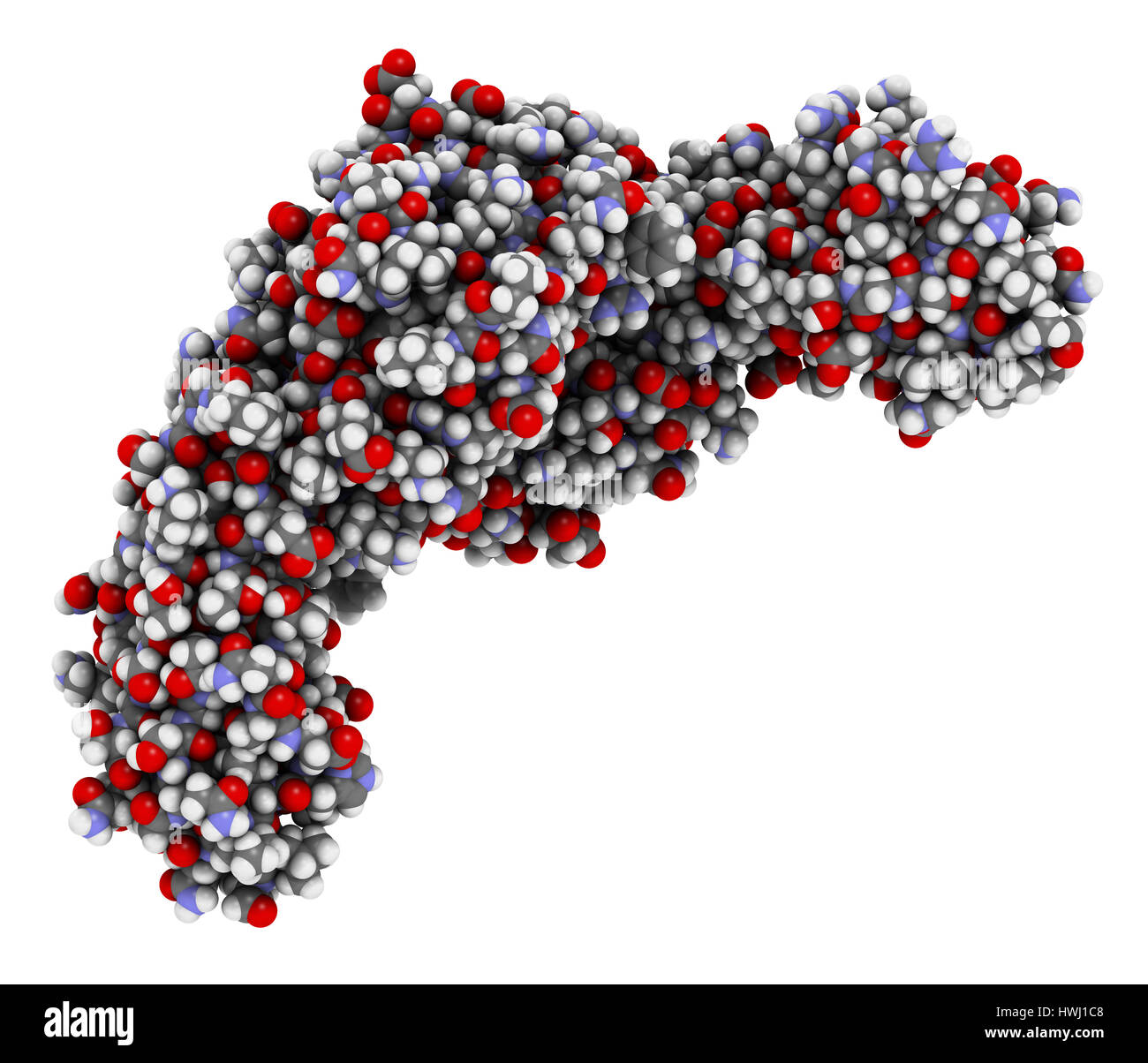 CD4 Oberfläche Protein. Glykoprotein auf eine Anzahl von weißen Blutkörperchen-Typen, einschließlich der CD4 +-Helferzellen vorhanden. 3D Illustration. Atome als Sphe angezeigt Stockfoto
