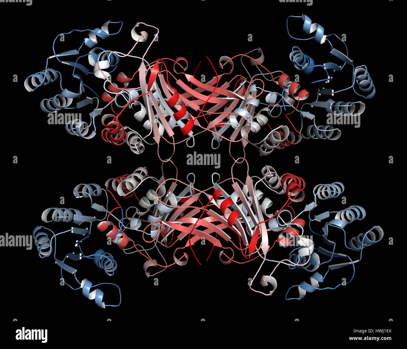 Glucose 6 phosphat -Fotos und -Bildmaterial in hoher Auflösung – Alamy