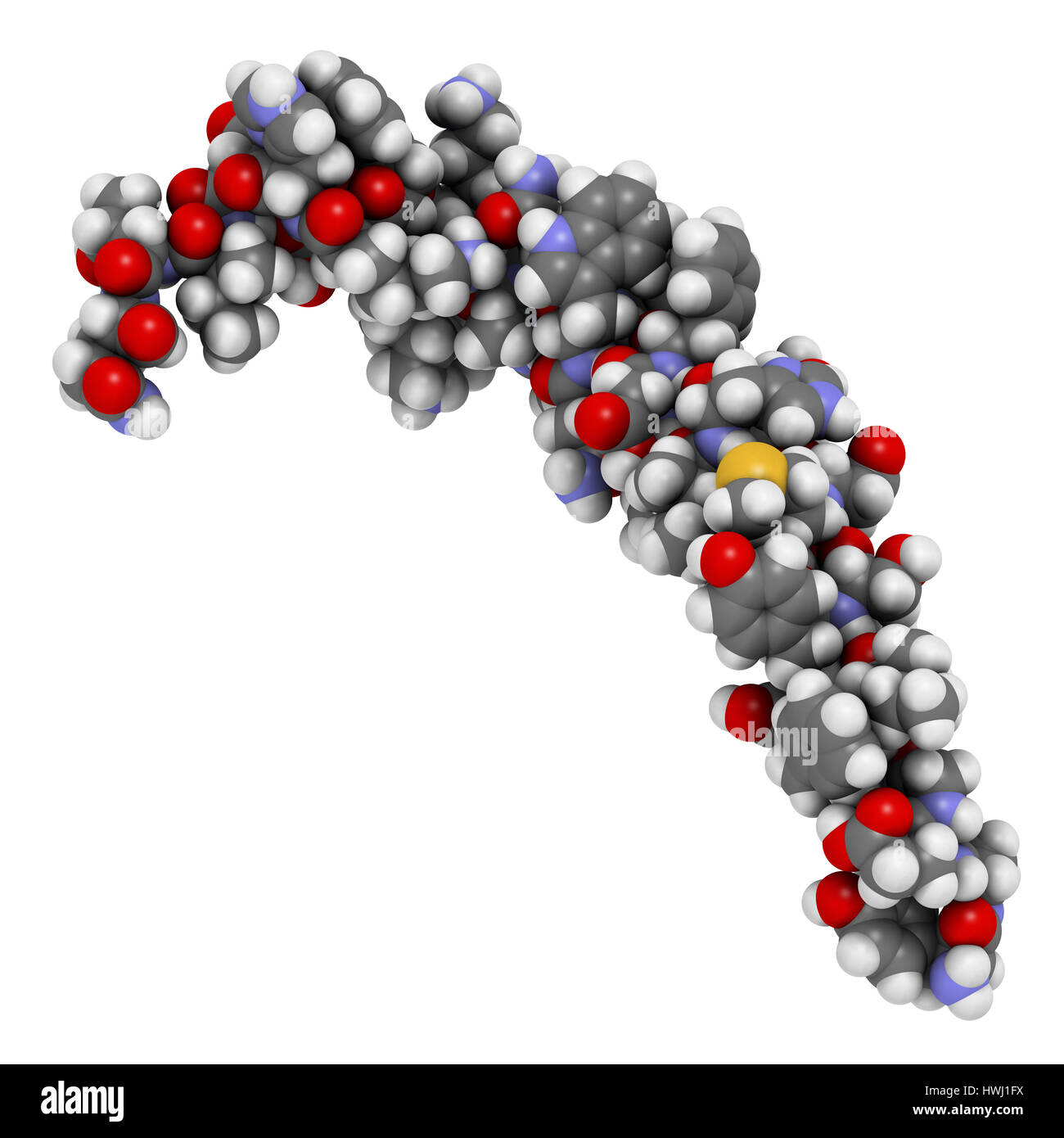 Magenhemmendes peptid -Fotos und -Bildmaterial in hoher Auflösung – Alamy