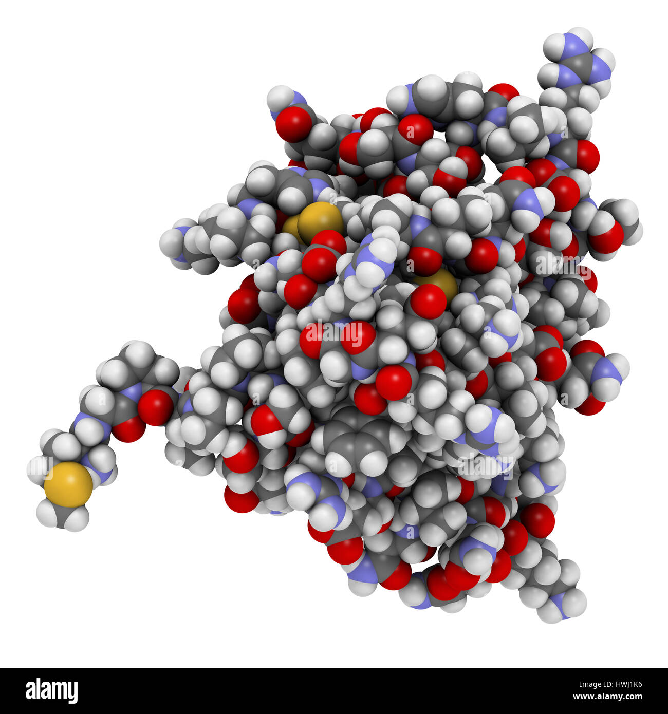 Protein, Zytokin Interleukin 13 (IL-13). 3D Illustration. Atome als Kugeln mit konventionellen Farbcodierung angezeigt. Stockfoto